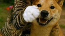 sunshine_sandeep · Garden Pals Selfie