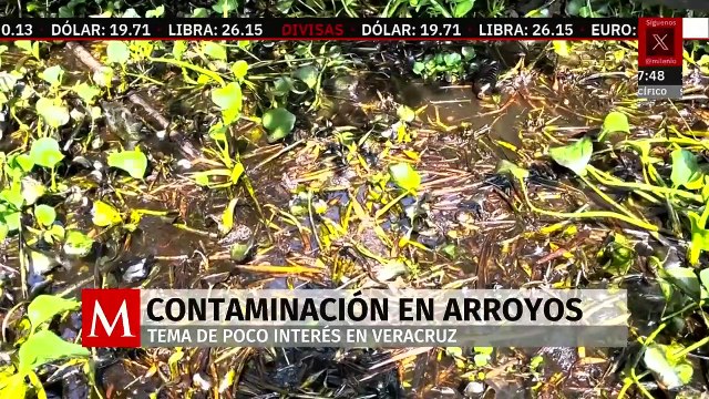 Contaminación de ríos por hidrocarburos, un tema que al gobierno de Veracruz le resulta irrelevante