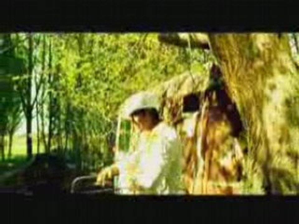 Bojalar - Anhor