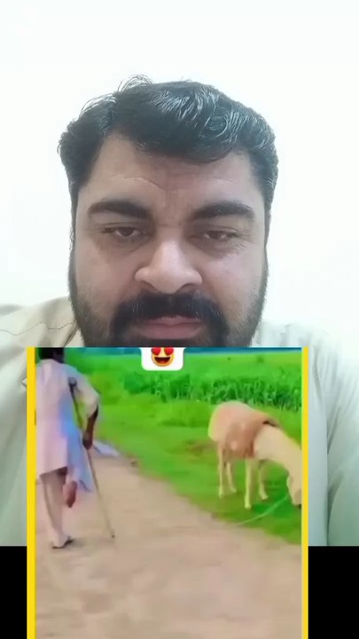 اس کے کرتوت چیک کرو 🤔