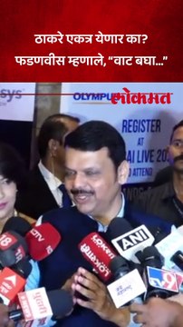 ठाकरेंची एकत्र येण्याची चर्चा, फडणवीसांनी सगळी हवाच काढली, काय म्हणाले?
