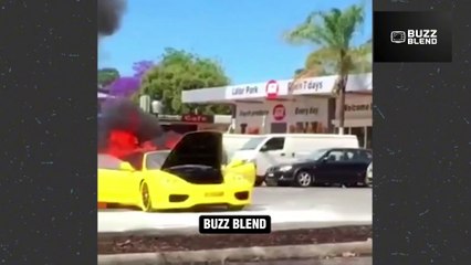 Buckle Up for Laughter! Moments of the Week: Epic Fails Edition!