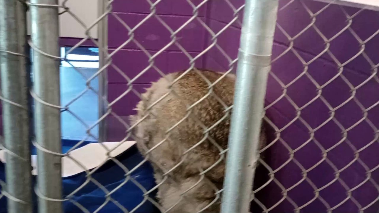 VID_20250418_135605079