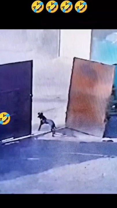 video funny 😂