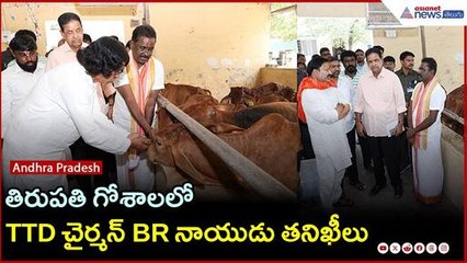 తిరుపతి గోశాలలో TTD చైర్మన్ BR నాయుడు తనిఖీలు | Tirumala Goshala controversy | Asianet News Telugu