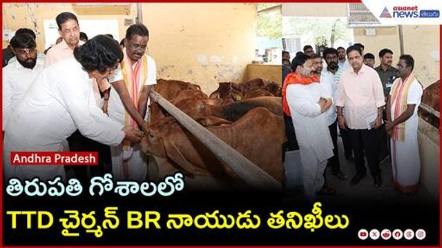 తిరుపతి గోశాలలో TTD చైర్మన్ BR నాయుడు తనిఖీలు | Tirumala Goshala controversy | Asianet News Telugu