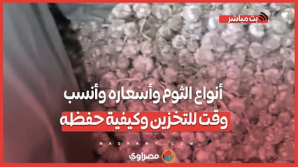 تجار يكشفون- أنواع الثوم وأسعاره وأنسب وقت للتخزين وكيفية حفظه لأطول فترة