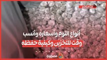 تجار يكشفون- أنواع الثوم وأسعاره وأنسب وقت للتخزين وكيفية حفظه لأطول فترة