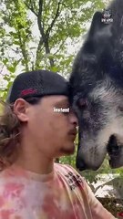 The Top 3 Most Unpredictable and Dangerous Dog Breeds