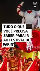 Tudo o que você precisa saber para ir ao Festival de Parintins