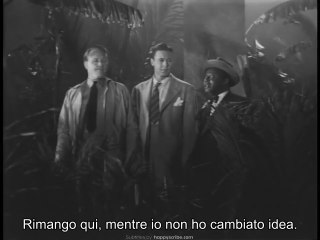 King of the Zombies (1941)  (sub ita)
