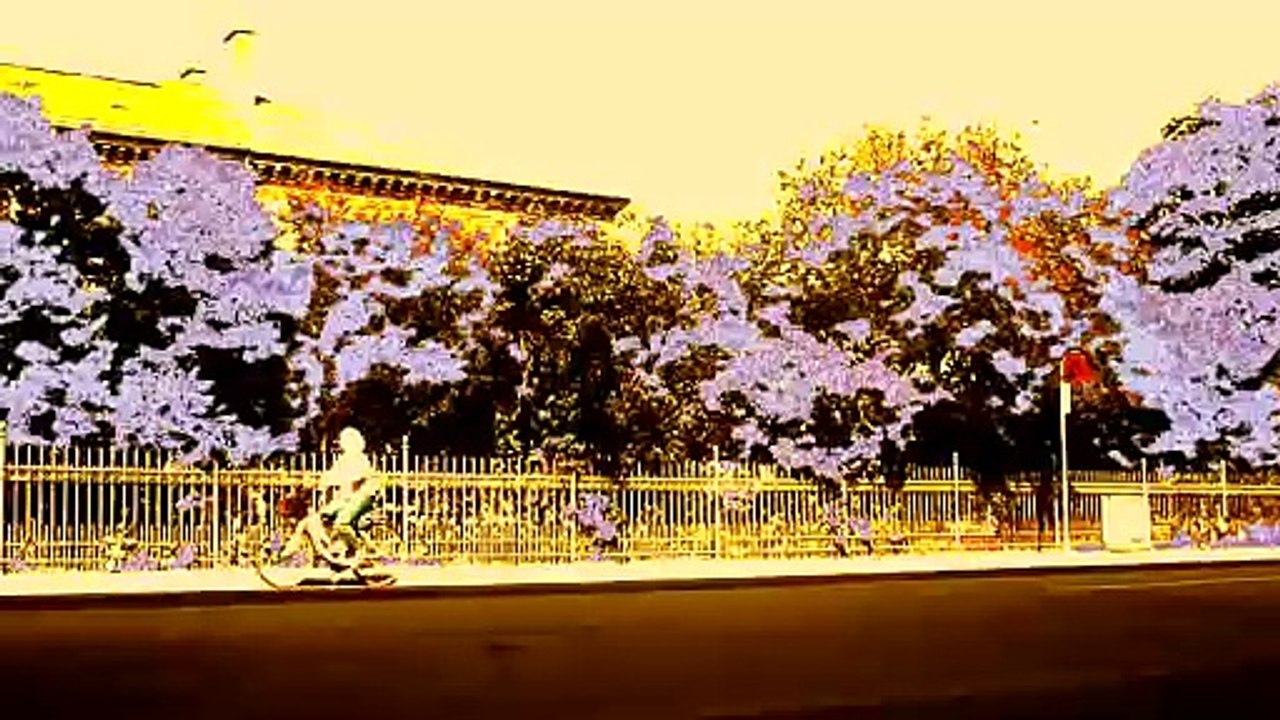 The street