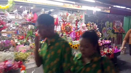 What Are They Hiding Behind the Flowers? | پھولوں کے پیچھے چھپی کہانیاں | Daily Unfold