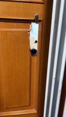 tree tree's pure enjoyment version recommends wearing headphones