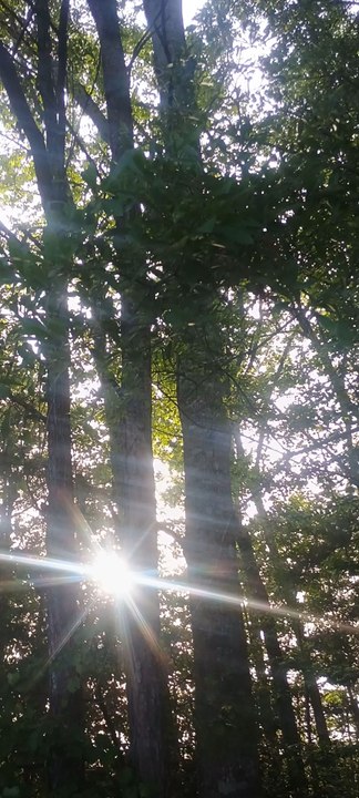 hermoso