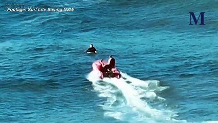 Surfer rescued off Werri Beach | Friday, April 18, 2025 | Illawarra Mercury