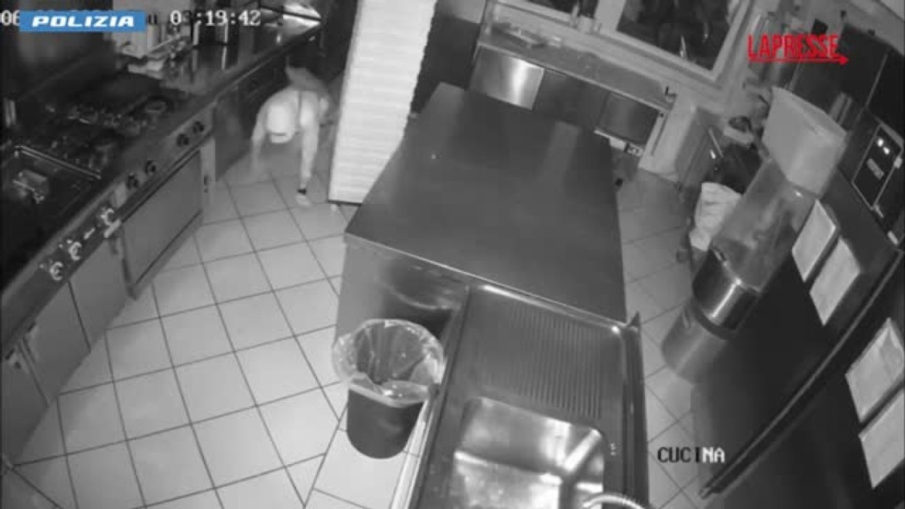 Verona, furti notturni negli esercizi commerciali: arrestato “ladro gattonatore”