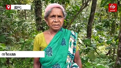 തരിശ് ഭൂമിയില്‍ പൊന്നിൻ കതിര്‍ക്കുല വിളയിച്ച് നീലമ്മ, കാര്‍ഷിക രംഗത്ത് വിപ്ലവം