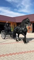 AQP1ajtP53xGz7w2QWM7mXuLbZTfaFoMH5JE7Vjp05G275WxjYDm5WUw94QRgMuBSMp8_o8Y51cUgopfYZbpPbuP