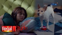 Regal Studio Presents: Fur baby, na-train ng pumanaw na fur dad na magsalita! (Talking Ted)