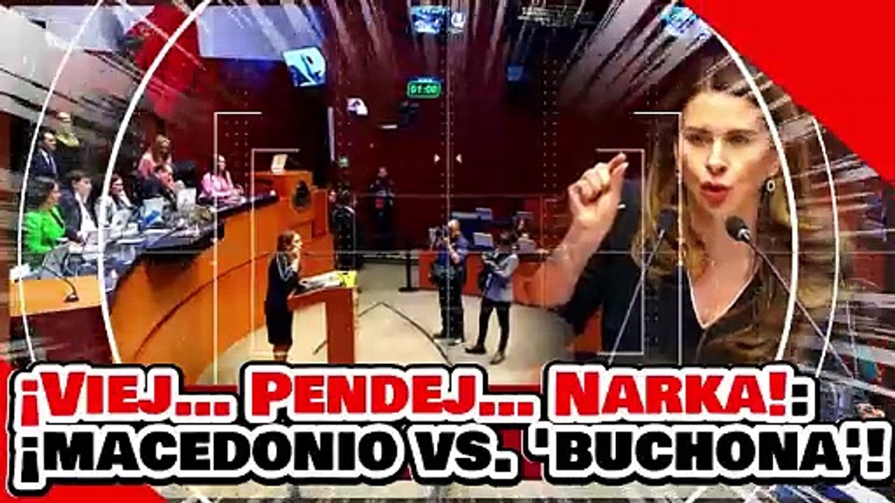 ¡VIEJ… PENDEJ… NARKA! ¡El TORO MACEDONIO DESPEDAZA a la BUCHONA de MOREIRA por ATACAR a la 4T!