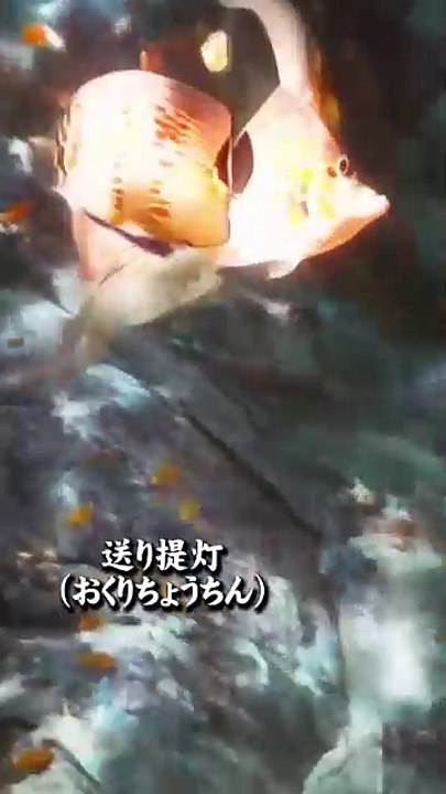 人間に化ける妖怪たち#35 #妖怪 #都市伝説 #aiart  #subscribe #ai   #shorts #urbanlegends  #変身 #transformation