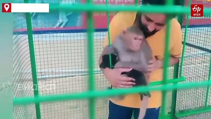 युवाओं ने इंसानियत को बनाया कास्ट, बेजुबान जानवरों के लिए बने मसीहा