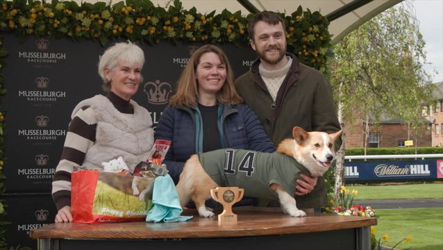 Corgis go head-to-head in race celebrating Queen Elizabeth’s favourite dog breed