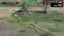Le Forze di Difesa ucraine utilizzano un drone antiaereo per neutralizzare l’UAV russo da ricognizione e attacco