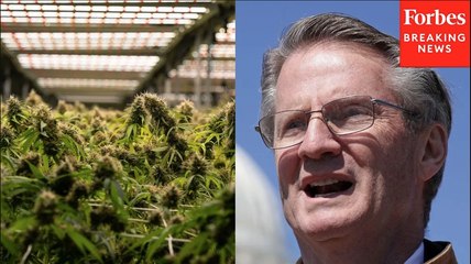 ‘Kids Are Ending Up At The Hospital’: Tim Burchett Warns Of Child Exposure To Cannabis Products