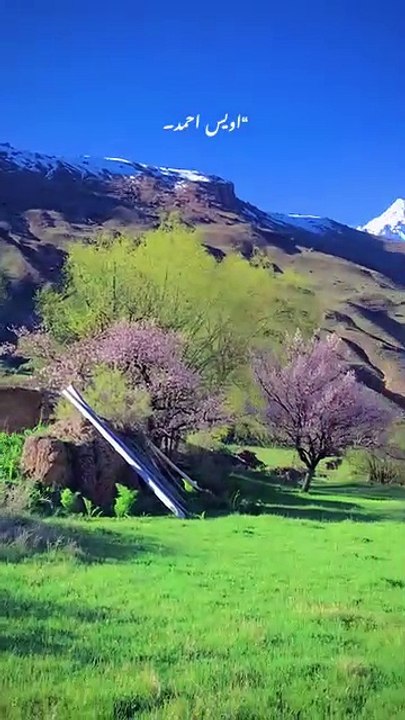 Reshun Upper Chitral