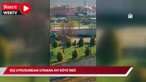 Kış uykusundan uyanan ayı köye indi