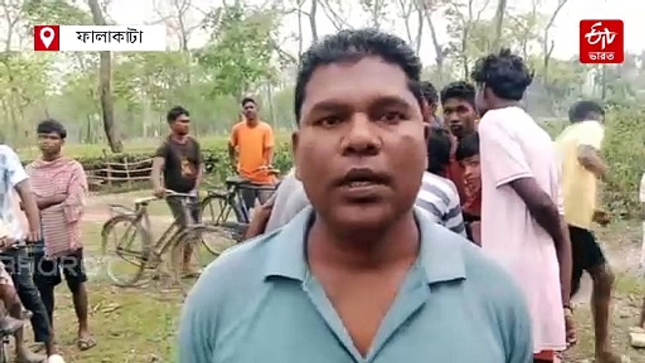 বনদফতরের খাঁচায় বন্দি চিতাবাঘ ! হুঙ্কারে ঘুম ভা...