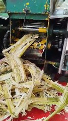 How Fresh Juice Making In My Foodie Town