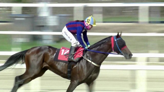 '김혜선 기수' 글로벌히트, YTN배 대상경주 2연패 달성 / YTN