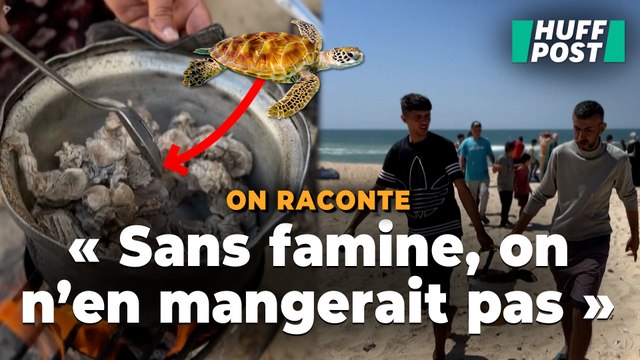 Le blocus humanitaire d’Israël à Gaza oblige les habitants à manger cette espèce protégée