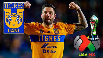 Tigres prende las alarmas por André-Pierre Gignac y confiesan su urgencia por tenerlo en la Liguilla
