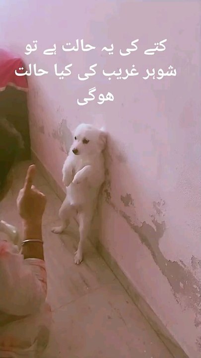 funny