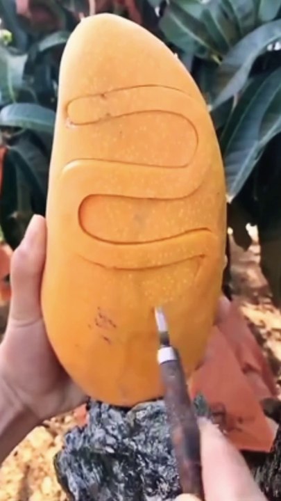 fruit slicing | fruit cutting videos