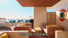 尼斯