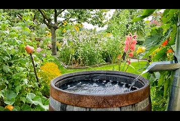 01 Self sustainability - Water