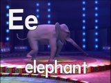 Rock N Learn - Alphabet Circus - Letter E is for Elephant (2004) (HD)