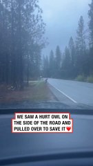 "I can't go to school today I have to take care of WE SAW