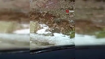 Bayburt dağlarında ender anlar!