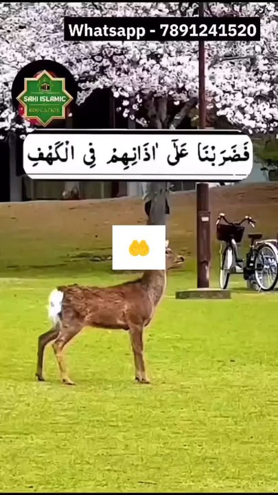New Video 2025