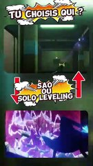 Sao vs solo leveling dis-moi, tu as choisi qui