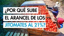 Trump pone el ojo en el jitomate mexicano: ¿por qué sube el arancel al 21%?