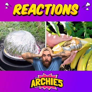 Plants, Pots and Plenty of Tips! 🌿 Dudes React To Gardening Hacks!