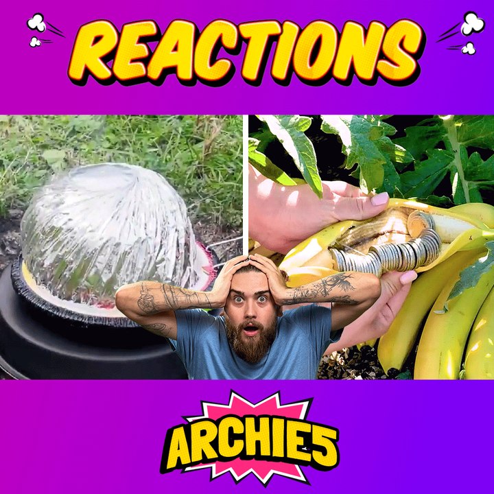 Plants, Pots and Plenty of Tips! 🌿 Dudes React To Gardening Hacks!