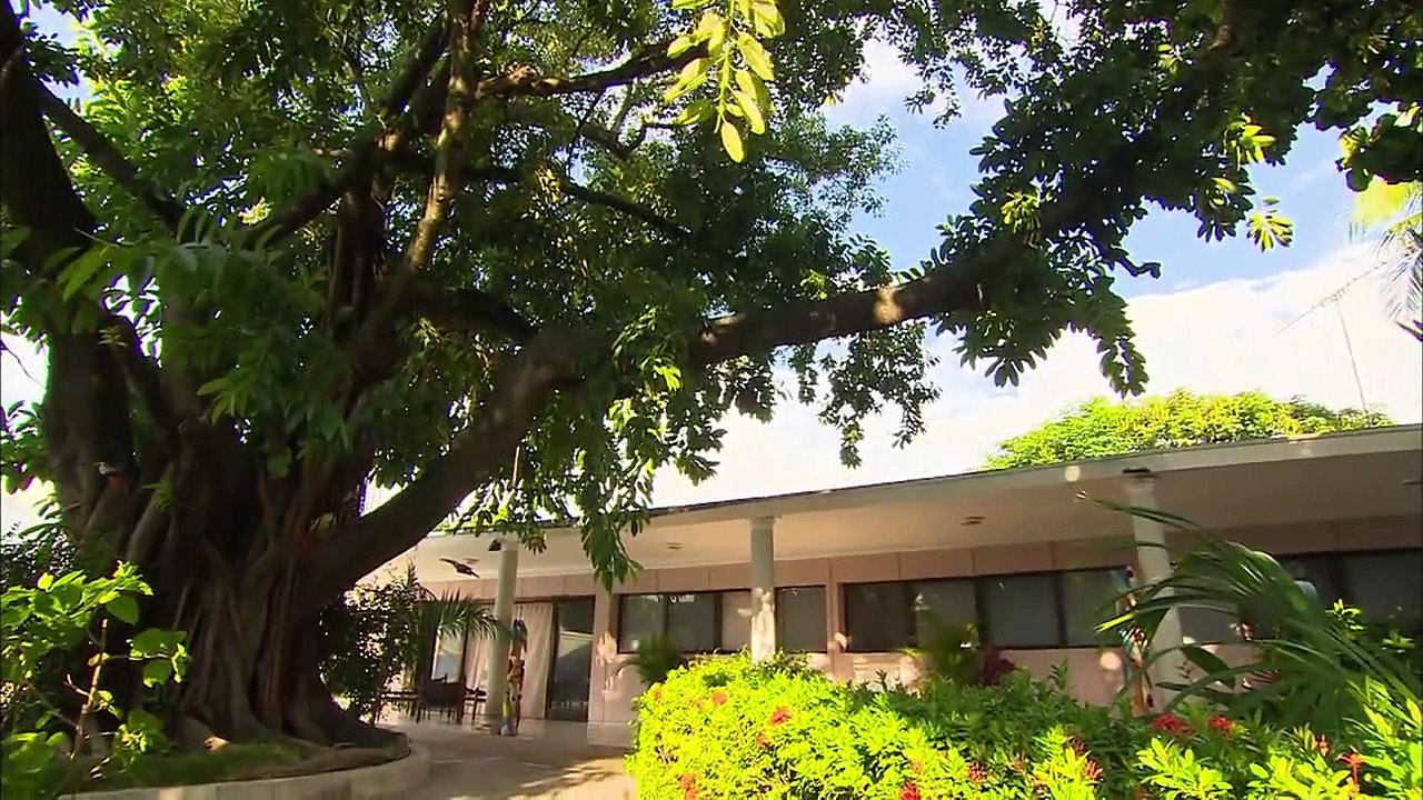 ojo por ojo cap 36